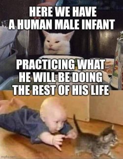 IMG_8601.jpeg IMG_8601.jpeg