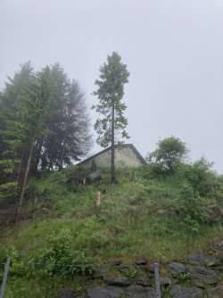 IMG_9920.jpeg IMG_9920.jpeg