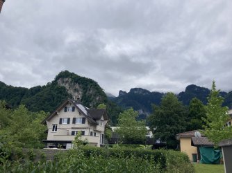 IMG_0011.jpeg IMG_0011.jpeg