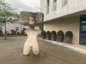 IMG_0177.jpeg IMG_0177.jpeg