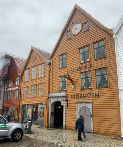 IMG_1182.jpeg IMG_1182.jpeg