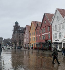 IMG_1193.jpeg IMG_1193.jpeg