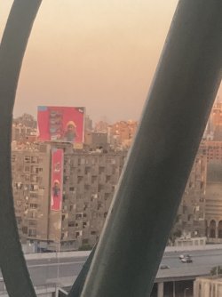 IMG_0383.jpeg IMG_0383.jpeg