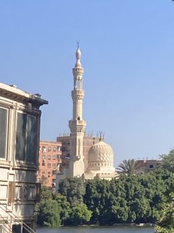 IMG_0388.jpeg IMG_0388.jpeg