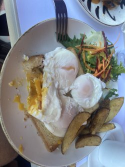 IMG_0394.jpeg IMG_0394.jpeg