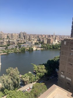 IMG_0395.jpeg IMG_0395.jpeg