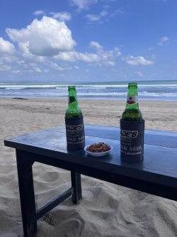 IMG_7265.jpeg IMG_7265.jpeg