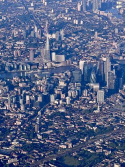 IMG_7269.jpeg IMG_7269.jpeg