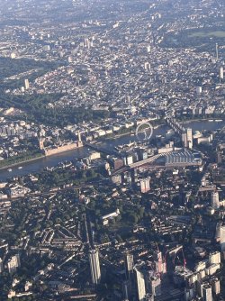 IMG_7272.jpeg IMG_7272.jpeg