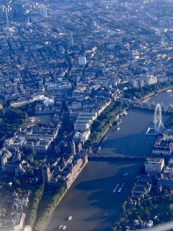 IMG_7274.jpeg IMG_7274.jpeg