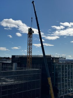 IMG_9228.jpg IMG_9228.jpg