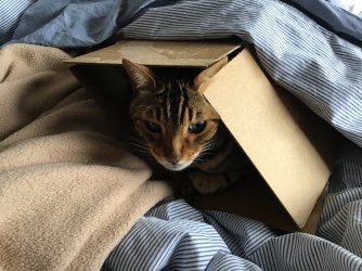 IMG_0487.jpeg IMG_0487.jpeg