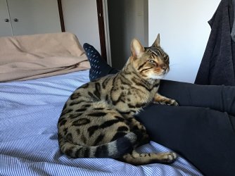 IMG_0494.jpeg IMG_0494.jpeg