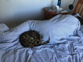 IMG_0497.jpeg IMG_0497.jpeg