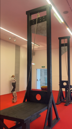 IMG_2884.png IMG_2884.png