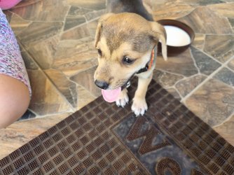 20240629_114654.jpg 20240629_114654.jpg