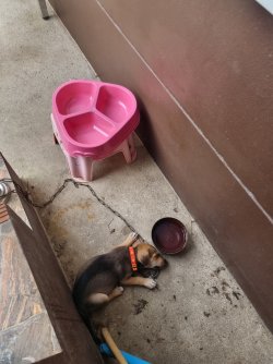 20240629_183810.jpg 20240629_183810.jpg