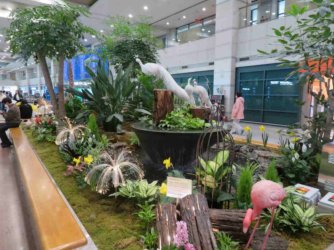 jpeg-optimizer_IMG_0032.JPG jpeg-optimizer_IMG_0032.JPG