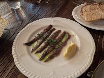 IMG_5828.jpeg IMG_5828.jpeg