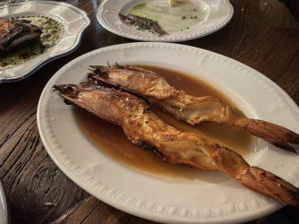 IMG_5829.jpeg IMG_5829.jpeg