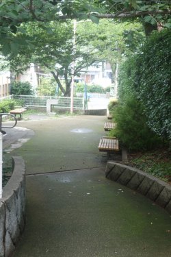 DSC05822.JPG DSC05822.JPG