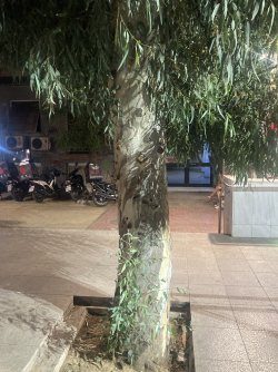 IMG_2069.jpeg IMG_2069.jpeg