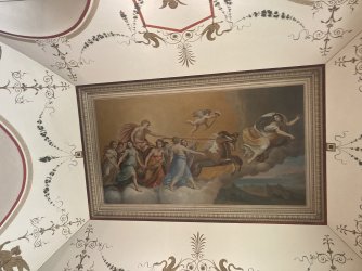 IMG_2182.jpeg IMG_2182.jpeg