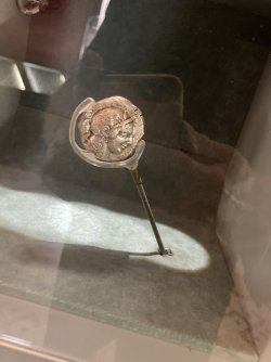 IMG_2221.jpeg IMG_2221.jpeg