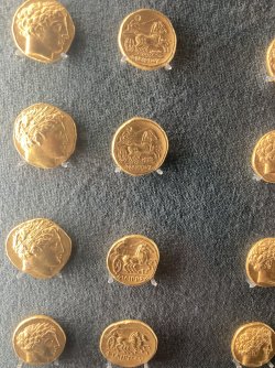 IMG_2213.jpeg IMG_2213.jpeg