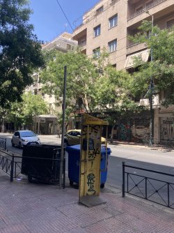 IMG_2297.jpeg IMG_2297.jpeg