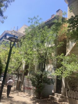 IMG_2330.jpeg IMG_2330.jpeg