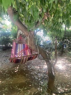 IMG_2331.jpeg IMG_2331.jpeg