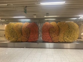 IMG_2332.jpeg IMG_2332.jpeg