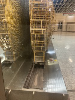 IMG_2335.jpeg IMG_2335.jpeg