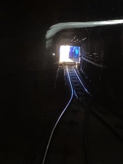 IMG_2388.jpeg IMG_2388.jpeg