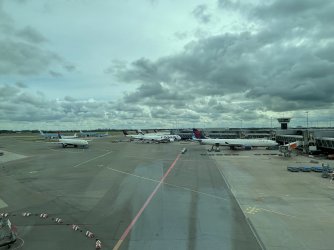 IMG_5225.jpeg IMG_5225.jpeg