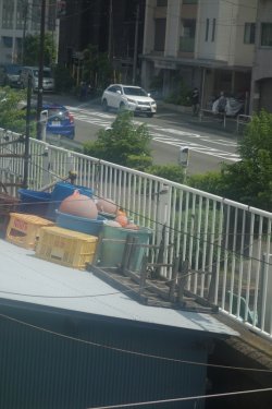 DSC05877.JPG DSC05877.JPG