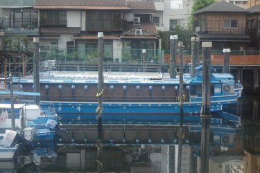 DSC05880.JPG DSC05880.JPG