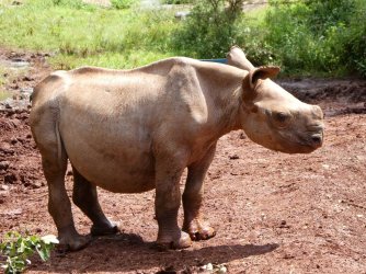 PANA1711.JPG PANA1711.JPG