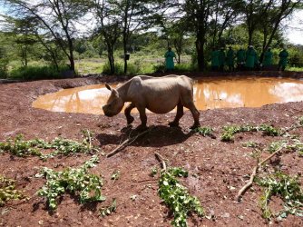 PANA1719.JPG PANA1719.JPG