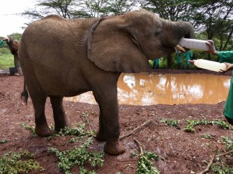 PANA1729.JPG PANA1729.JPG