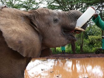 PANA1732.JPG PANA1732.JPG