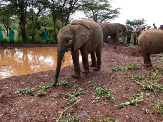 PANA1737.JPG PANA1737.JPG