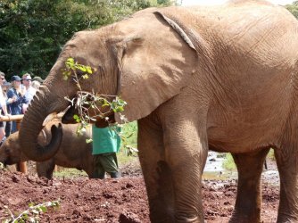 PANA1749.JPG PANA1749.JPG