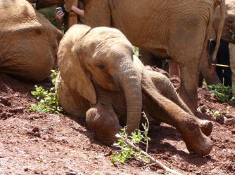 PANA1754.JPG PANA1754.JPG