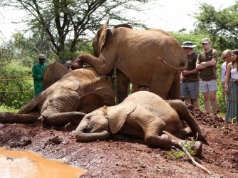 PANA1758.JPG PANA1758.JPG