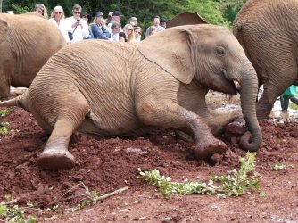 PANA1778.JPG PANA1778.JPG