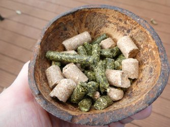 PANA1792.JPG PANA1792.JPG