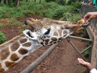 PANA1799.JPG PANA1799.JPG