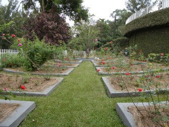 PANA1856.JPG PANA1856.JPG